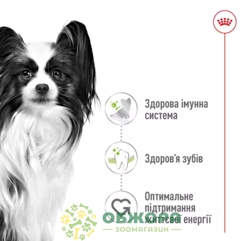 Royal Canin X-Small сухой корм для собак миниатюрных пород_3