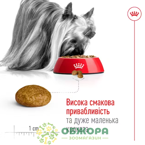 Royal Canin X-Small сухой корм для собак миниатюрных пород_4