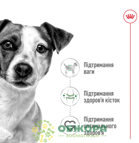Royal Canin Mini 7+1 кг сухой корм для собак миниатюрных пород_1