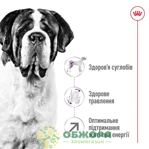 Royal Canin Giant сухой корм для собак гигантских пород_4