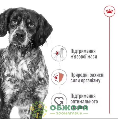 Royal Canin Medium AdultRoyal Canin Medium сухой корм для собак средних пород_3