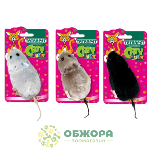 Tatrapet Caty funny