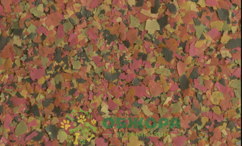 Tetra Min Flakes_1