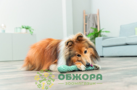 Trixie 34931 змія для собак, для ласощів_3