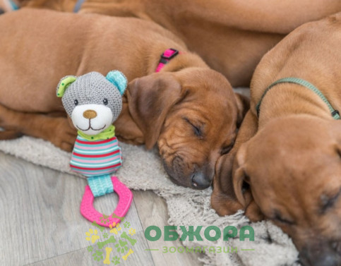 Trixie 36177 Junior медведь для собак_2