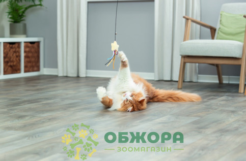 Trixie 45617 вудочка для котів, з зіркою та котячою м'ятою_3