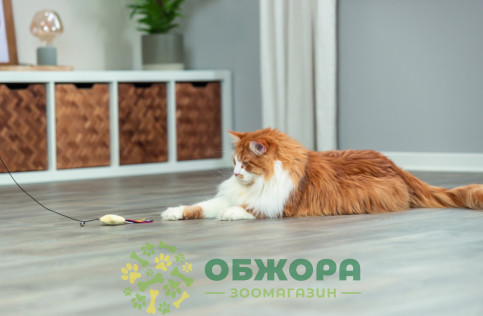 Trixie 45617 вудочка для котів, з зіркою та котячою м'ятою_2
