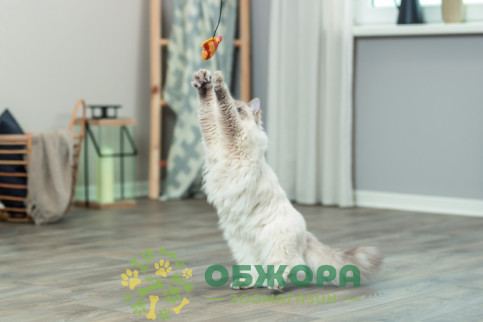 Trixie 45619 удочка для котов, с рыбкой_2