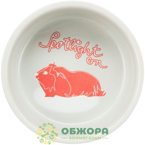 Trixie 60738 Spotlight on Морская свинка_1