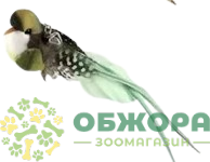 Удочка для котов, с перьями и птичкой, на присоске_3