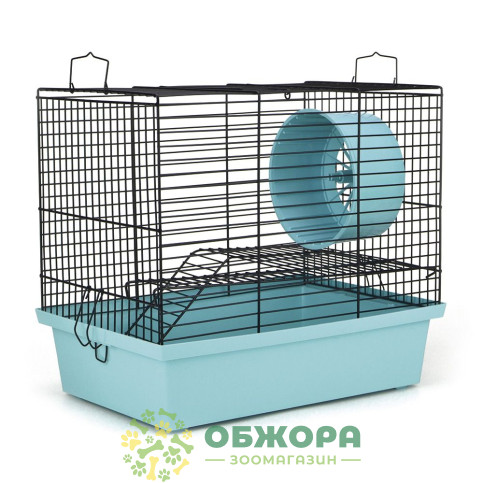 Лорі Хомяк-2_1