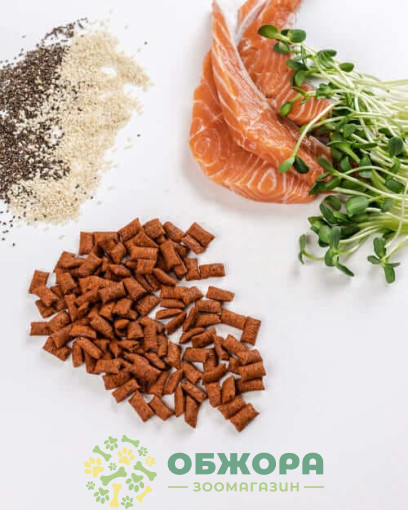 Savory Cats Snacks Pillows Gourmand with Salmon_1