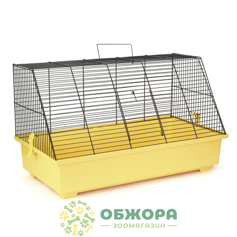 Лорі Крыска
