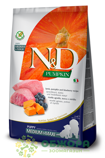 Farmina N&D Pumpkin GF Puppy Medium, Maxi Lamb беззерновий сухий корм для цуценят середніх та великих порід, з ягням, гарбузом та чорницею