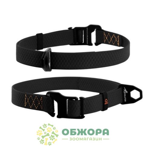 Collar Evolutor_1