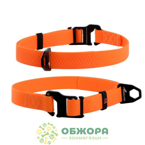 Collar Evolutor