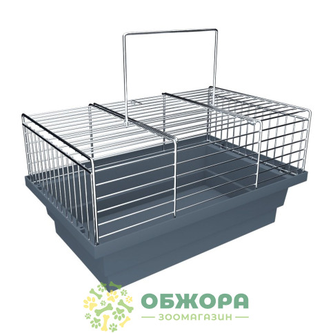 Лорі Грызун_1