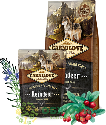 Carnilove GF Reindeer беззерновий сухий корм для собак, з оленем_2