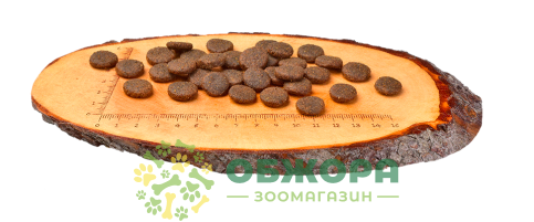 Carnilove GF Large Salmon, Turkey беззерновий сухий корм для собак великих порід, з лососем та індичкою_3