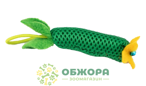 Agility огірок