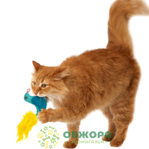 Barksi птичка для котов, с колокольчиком и перьями_4