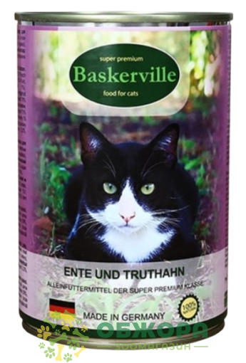 Baskervile Ente und Truthahn