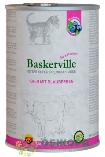 Baskervile Kätzchen Kalb mit Blaubeeren