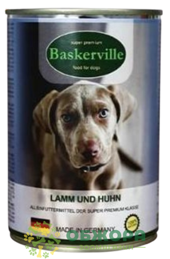 Baskervile Lamm und Huhn