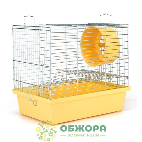 Лорі Хомяк-2_2