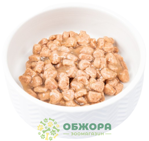 Brit Premium Sterilised Salmon вологий корм для стерилізованих котів, в соусі з лососем_1