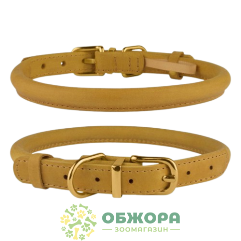 Bronzedog Premium Crazy