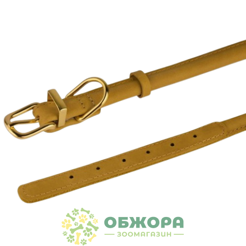Bronzedog Premium Crazy_1