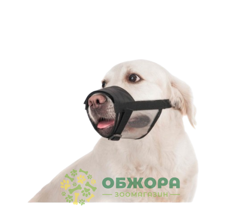 Collar Dog Extremе_2