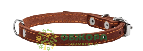 Collar Dog Extremе_1