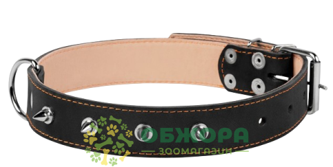 Collar