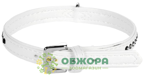 Collar ошейник
