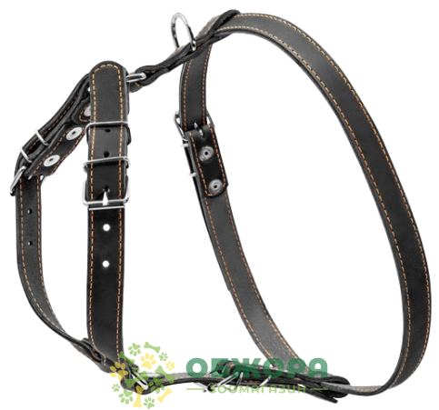 Collar шлея