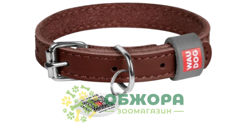 Collar WauDog Classic