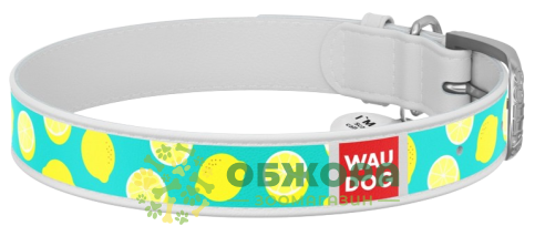 Collar WauDog Design нашийник для собак, з QR паспортом, лимони_1