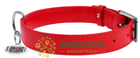 Collar WauDog Glamour_1