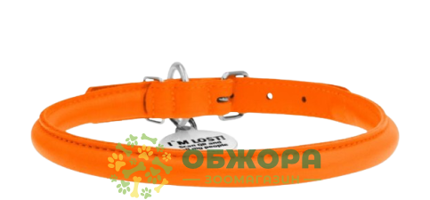 Collar WauDog Glamour_1