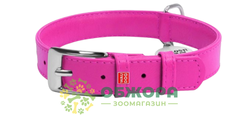 Collar WauDog Glamour