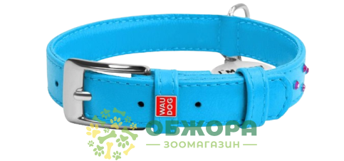 Collar WauDog Glamour