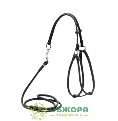 Collar WauDog Glamour