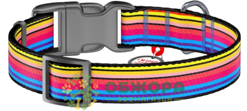 Collar WauDog Nylon_1
