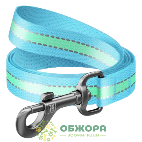 Collar WauDog Nylon