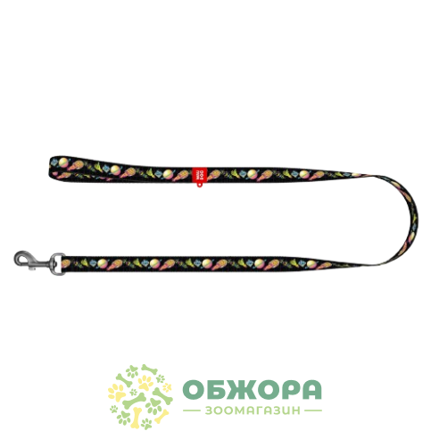 Collar WauDog Nylon_1