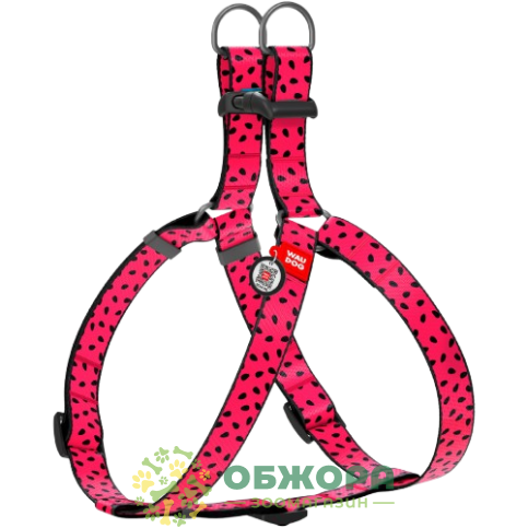 Collar WauDog Nylon