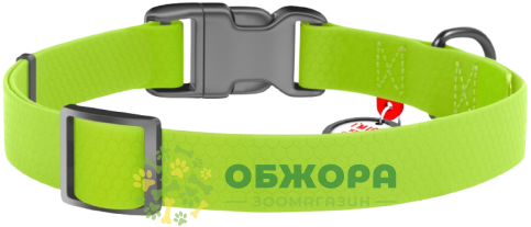 Collar WauDog Waterproof_1