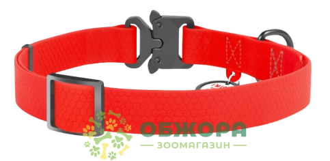 Collar WauDog Waterproof_1